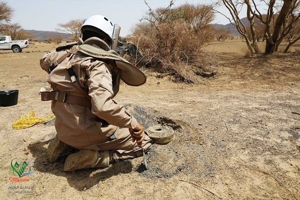 فريق مشروع مسام يفكك عبوات ناسفة بقرية القطنة بالحديدة Image