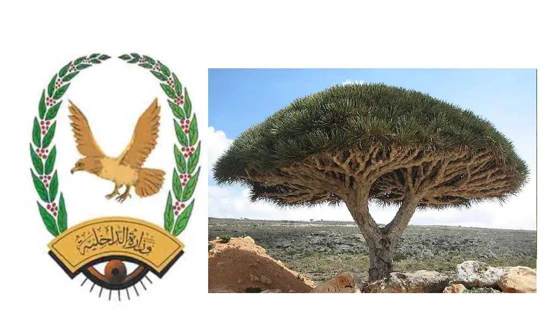 شرطة سقطرى تحرر مواطنا مختطفا وتلقي القبض على الجناة Image