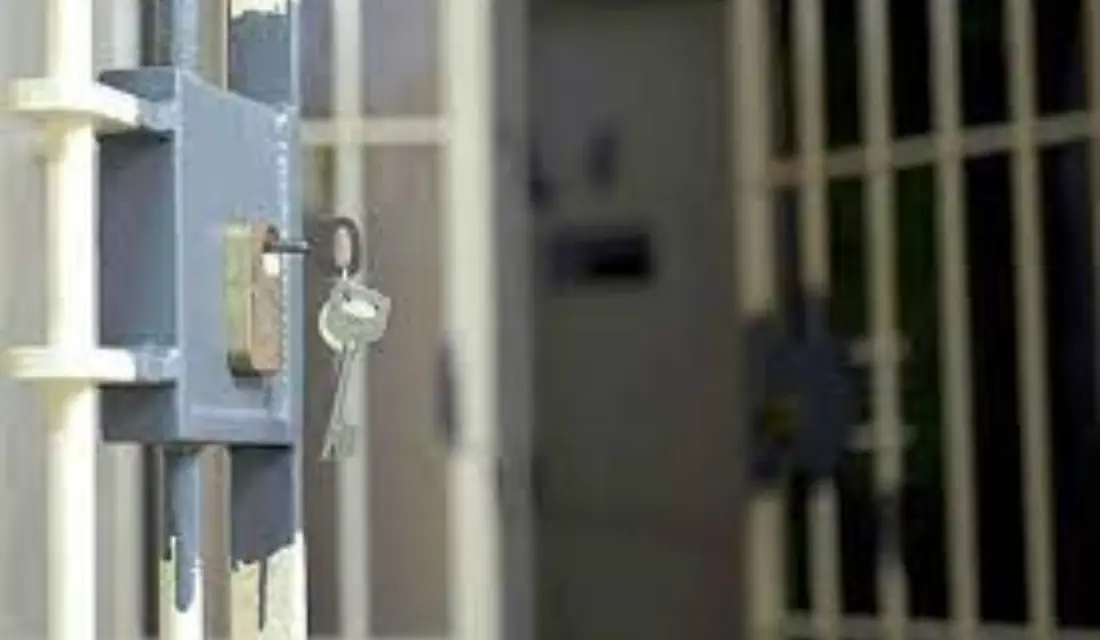 إلقاء القبض على متهمين بالشروع في القنل وخيانة الامانة بتعز Image