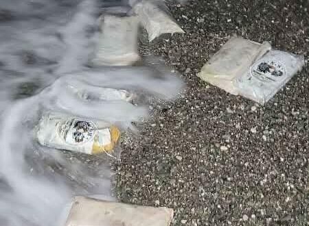 العثور على 2 كجم من مادة الحشيش في ساحل أبين الإعلام الأمني: Image