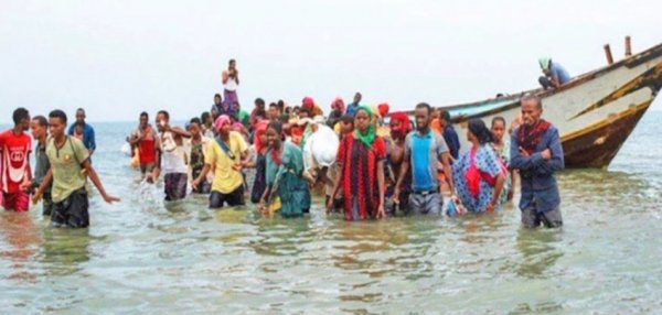 وصول 86 أفريقيا إلى ساحل كيدة برضوم شبوة Image