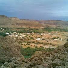 ضبط 3 متهمين بجريمة الشروع بالقتل بمحافظة حضرموت الوادي Image