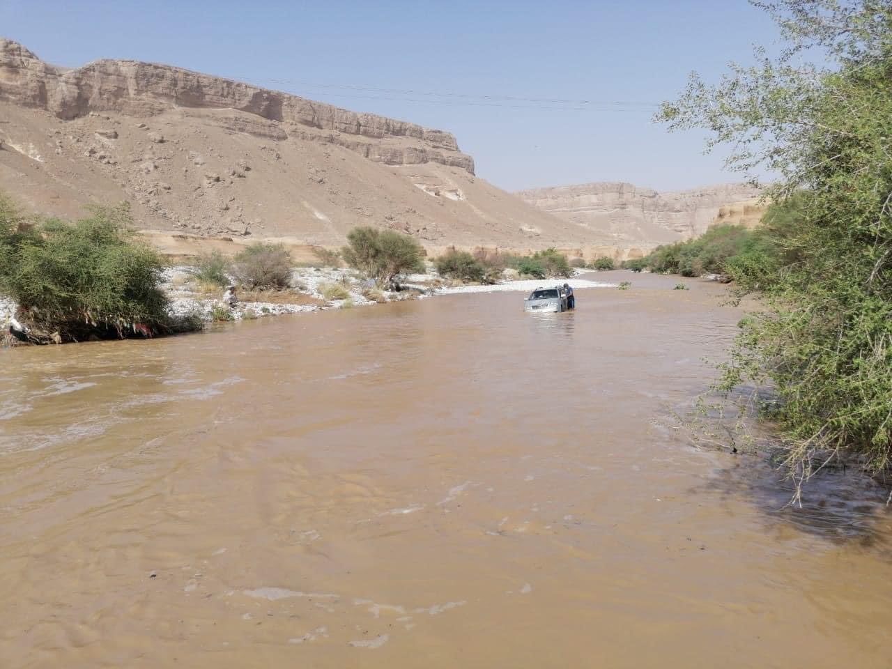 أمطار غزيرة تتسبب بوفاة مواطن بحريضة ونفوق 160 رأس غنم بثمود Image