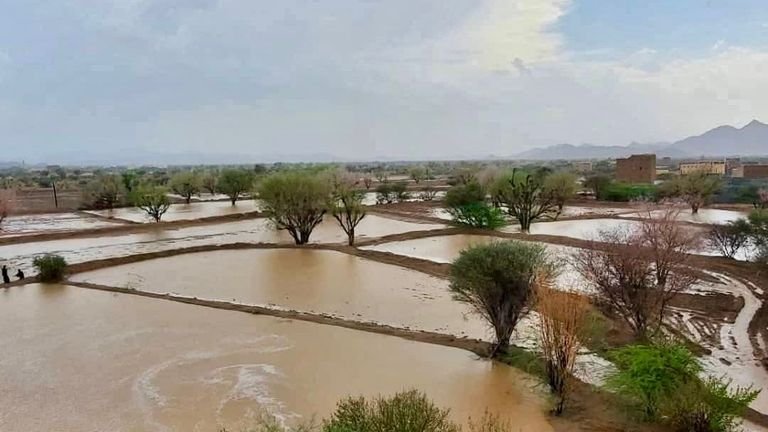 سيول الامطار بمحافظة شبوة ليوم أمس تخلف خسائر مادية بخمسين مليون ريال Image