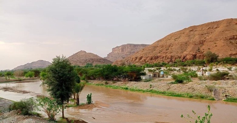 السيول تجرف سيارتين في مديرية الصعيد بشبوة دون  تسجيل خسائر بشرية Image