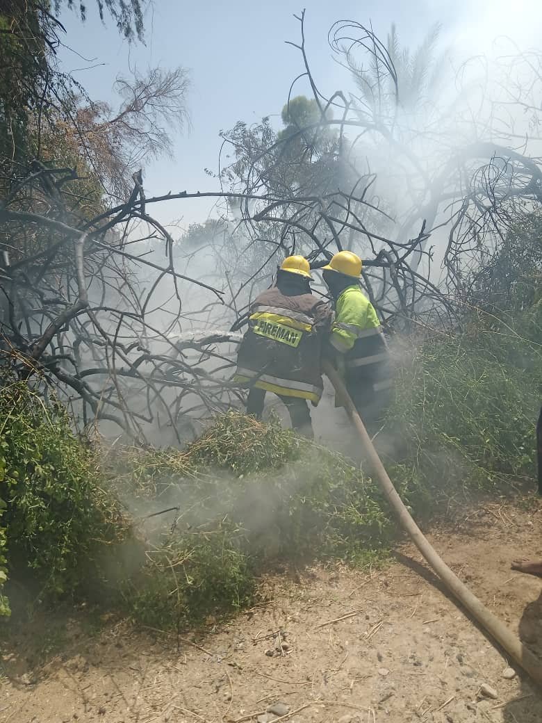 الدفاع المدني بمأرب يخمد حريقاً بمزرعة جنوب المدينة دون خسائر بشرية Image