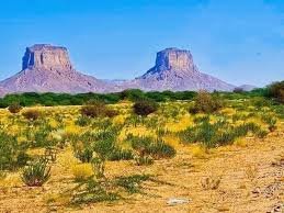 شرطة الخشعة تضبط متهم اثيوبي بجريمة قتل Image