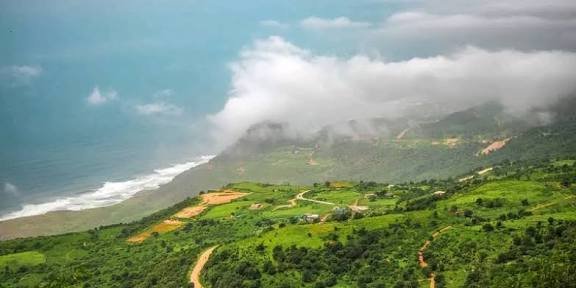 ضبط 3كيلو جرام  شبو مخدر بمحافظة المهرة Image