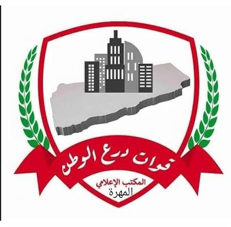 قوات درع الوطن تضبط شاحنة محملة بالأسلحة والذخائر في شحن Image