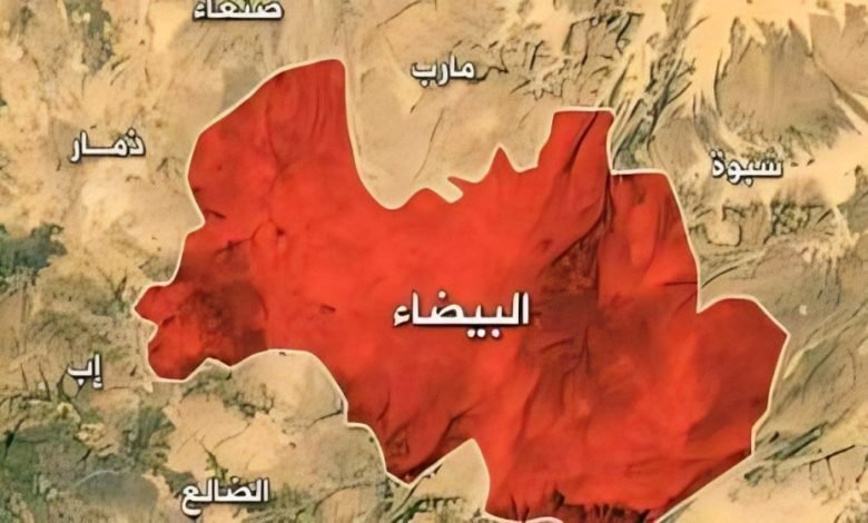 القوات المسلحة تطلق عملية عسكرية في البيضاء وتحرر عدد من المواقع في الزاهر  Image