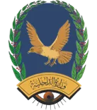 Footer Logo